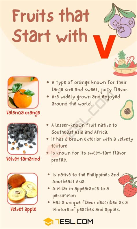 Fruits That Start With V In English Esl