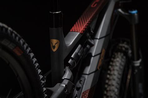 R.G375 | Pro | ROTWILD Gath Bikes
