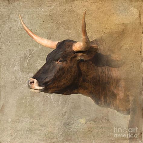 Texas Longhorn # 3 by Betty LaRue | Bull art, Cow art, Animal paintings