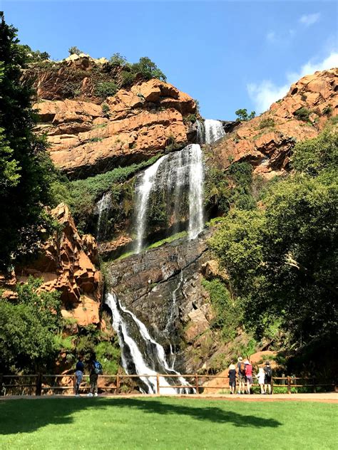 Johannesburg Botanical Garden (2026) - All You Need to Know BEFORE You