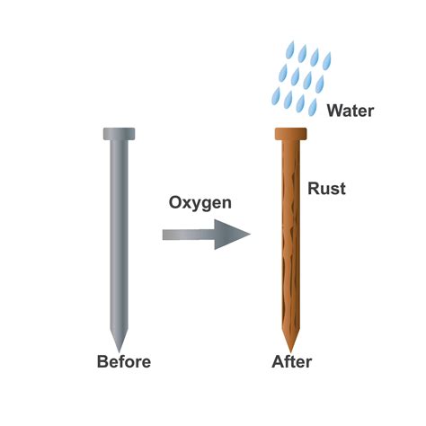 Rusting of iron nail experiment diagram. 27798472 Vector Art at Vecteezy