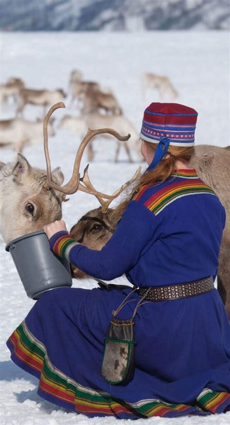 Reindeer & Sami culture – Best Arctic