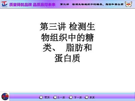 第三讲 检测生物组织中的糖类、 脂肪和蛋白质ppt课件word文档在线阅读与下载文档网