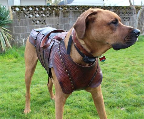 Leather Dog Armor