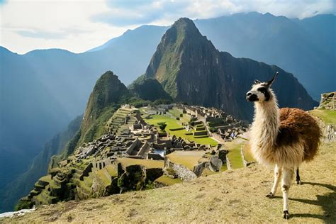 Seize The Moment Book Your Machu Picchu Tickets Effortlessly With