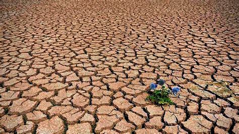 Sequía meteorológica y agrícola afecta amplias zonas del país