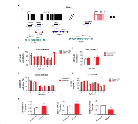 Methylation Analysis Of Igf H Dmrs By Pyrosequencing A