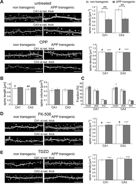 Effect Of Nmdar Antagonist Cpp Calcineurin Inhibitor Fk And Gsk