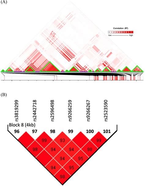 Functional genomics of AS-associated SNPs. A A total of 147 ...