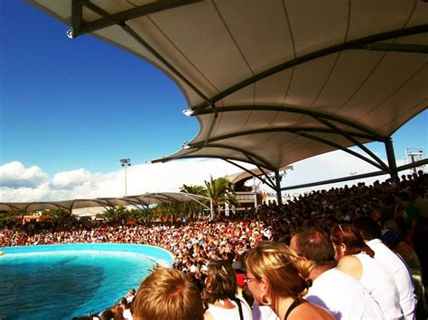 Marineland, Antibes, France | AMETEMA