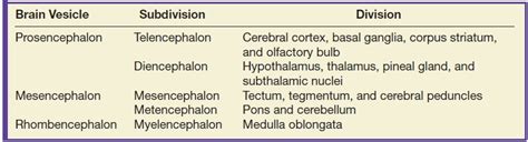 Congenital Disorders of the Brain | Radiology Key