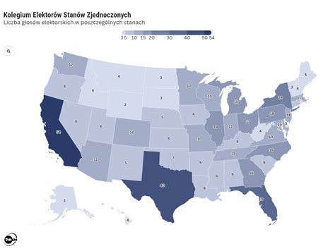 Wybory prezydenckie USA 2024 Czym są stany kluczowe swing states TVN24