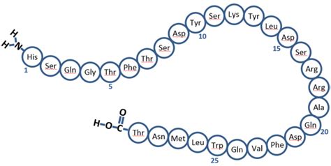 World Of Biochemistry Blog About Biochemistry