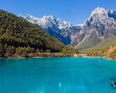 Cheeky Passports How To Visit The Jade Dragon Snow Mountain Cheeky