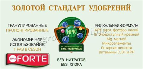 Удобрение Бона Форте: инструкция, виды, отзывы, фото
