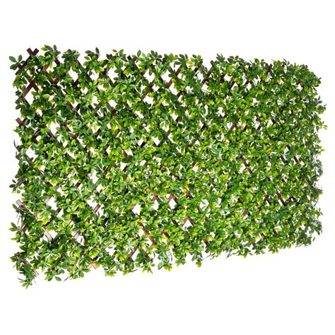 Vigoro Pvc Expandable Trellis 36 Inch X 72 Inch Lt Schefflera Leaves