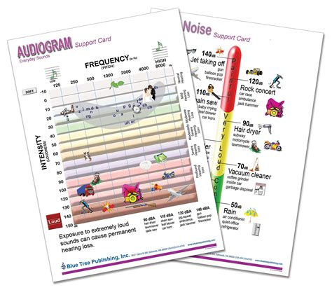 Buy Audiogram Anatomical Chart Laminated Card for Audiologist and ...