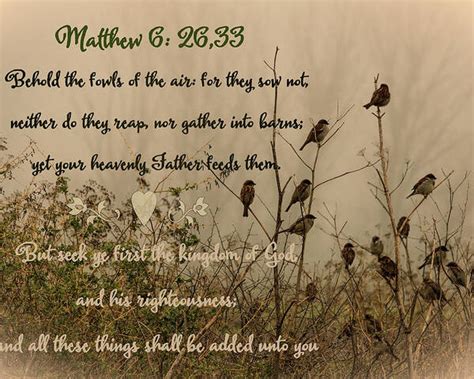 Seek First The Kingdom Of God