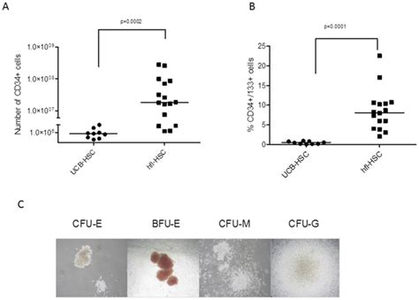 A And B Human Fetal Liver Haematopoietic Stem Cell Hflhsc Populations