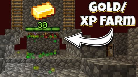 Zombified Piglin Xp Gold Farm Minecraft Skyblock Lets Play