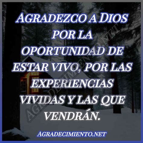 Frases De Agradecimiento A Dios