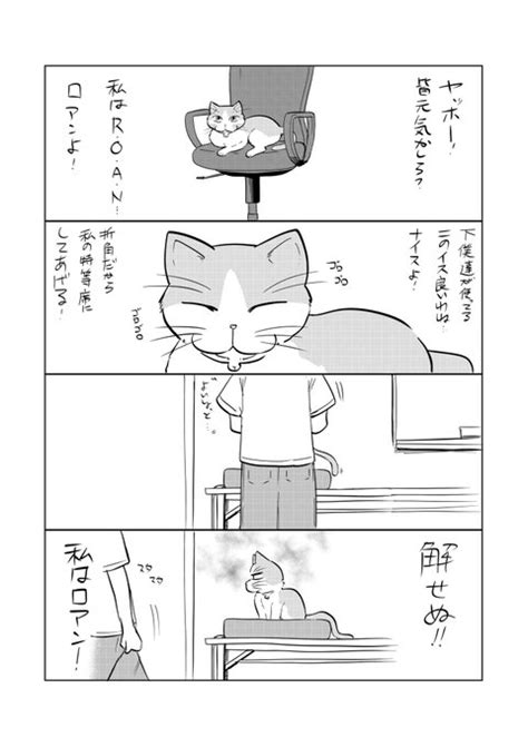 毎週木曜18時更新の最強の猫漫画！ 私はロアン第7話「解せぬロアン」 福田泰宏 現在連載に向け格闘中！ さんのマンガ ツイコミ仮