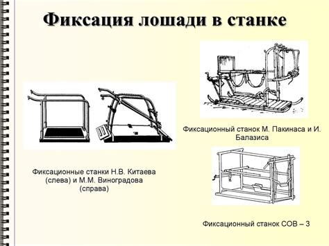 Фиксация и обездвиживание животных - презентация онлайн