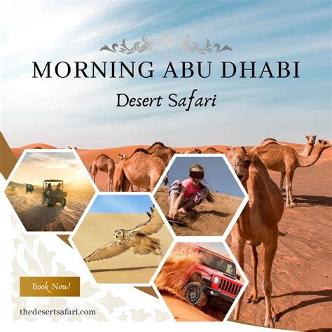 Morning Desert Safari Abu Dhabi | Ultimate Desert Experience