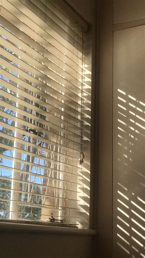 golden hour from my window | Blinds for windows, White blinds, Wooden ...