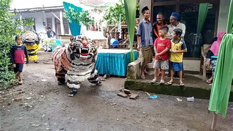 Atraksi Can Macanan Singo Raung Dan Drumband Al Azhar Youtube