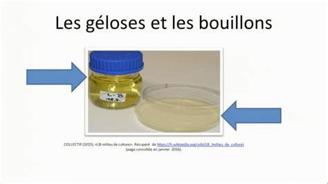 Techniques De Laboratoire Microbiologie Manipulation St Rile En