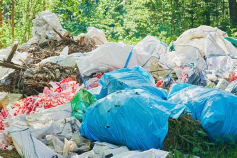 A Pile of Trash in the Forest. Breed Protection. Plastic Trash. the Concept of Environmental ...