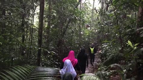 Pendakian Santai Di Hutan Simpan Kota Damansara YouTube