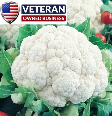 Cauliflower Seeds 600 Seeds Non Gmo Free Shipping Etsy