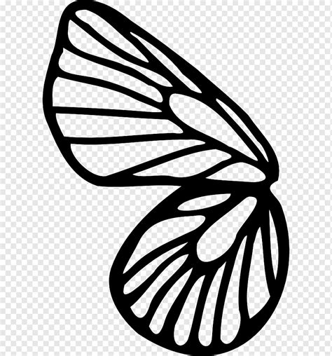 Butterfly Drawing Coloring Book Line Art Butterfly Leaf Brush Footed