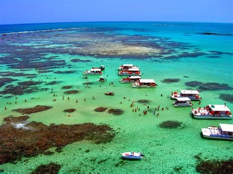 Fotos De Maragogi Em Alagoas - O que fazer em Maragogi: Caribe Brasileiro - D&D Mundo Afora