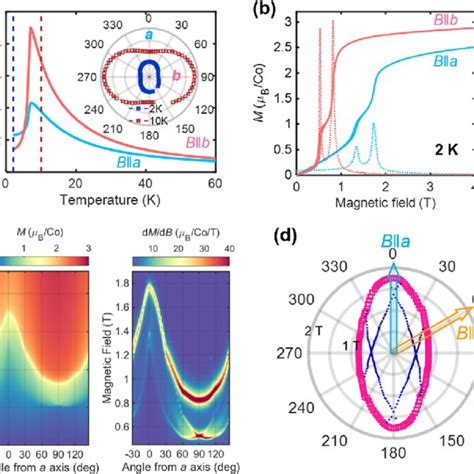 A Dc Magnetic Susceptibility Measured In Fields Of 0 1 T Along The A