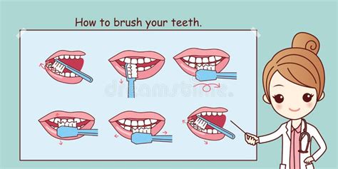 How To Brush Your Teeth Stock Vector Illustration Of Bleach 86069217