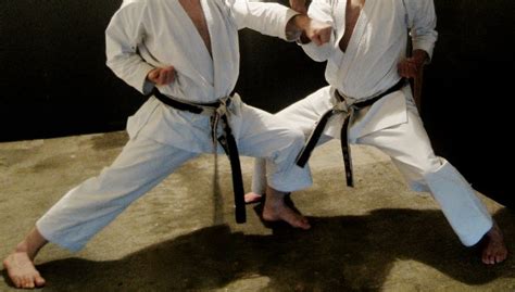 5 (More) Reasons Why Your Bunkai (Still) (Probably) Sucks