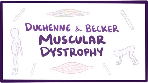 Duchenne Muscular Dystrophy Causes