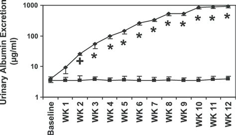 24 H Urinary Albumin Excretion Rate In Conscious Normoglycemic Control