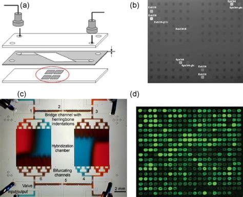 Microfluidic Method For Microarray Labinsights