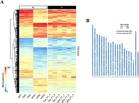 Sperm Dna Methylation Analysis Of Vpa Treated F1 Mice Using