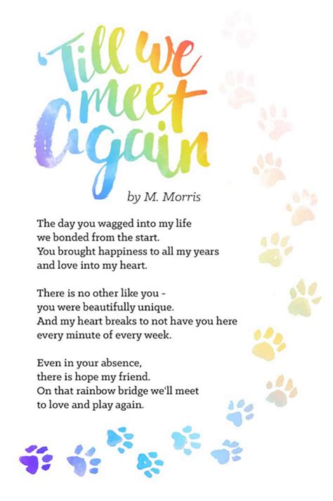 dogs rainbow bridge quotes - Corinne Hamer