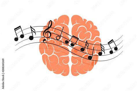 Human brain with music notes. Effect of music on human brain concept. Isolated. On white ...