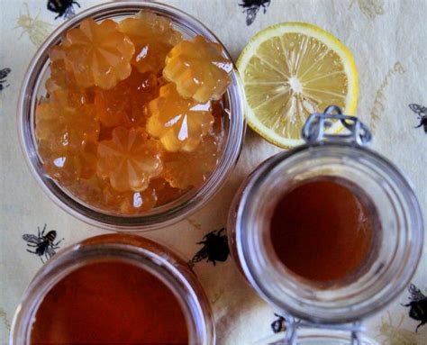 Apple Cider Vinegar Gummies Recipe | Coconut Mama