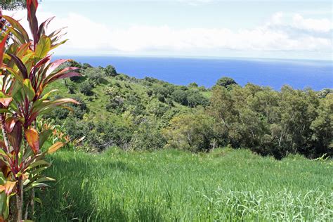 Img Road To Hana Maui Hawaii Travelbear Flickr