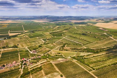 Aerial View of a Beautiful Landscape with Vineyards in South Moravian ...