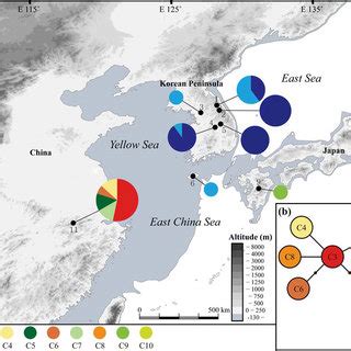 Mismatch Distribution Of Chloroplast DNA Sequence Data For Leontopodium