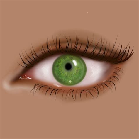 Iris Eye Green Eye Digitalart Green Eyes Iris Green